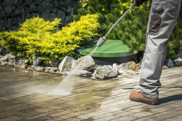 Best Vinyl Siding Pressure Washing in Burbank, CA