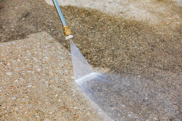 Best Roof Cleaning and Mildew Removal in Burbank, CA